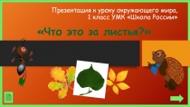 Презентация 1 класс окружающий мир Что за листья?