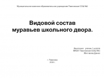 Презентация к исследовательской работе