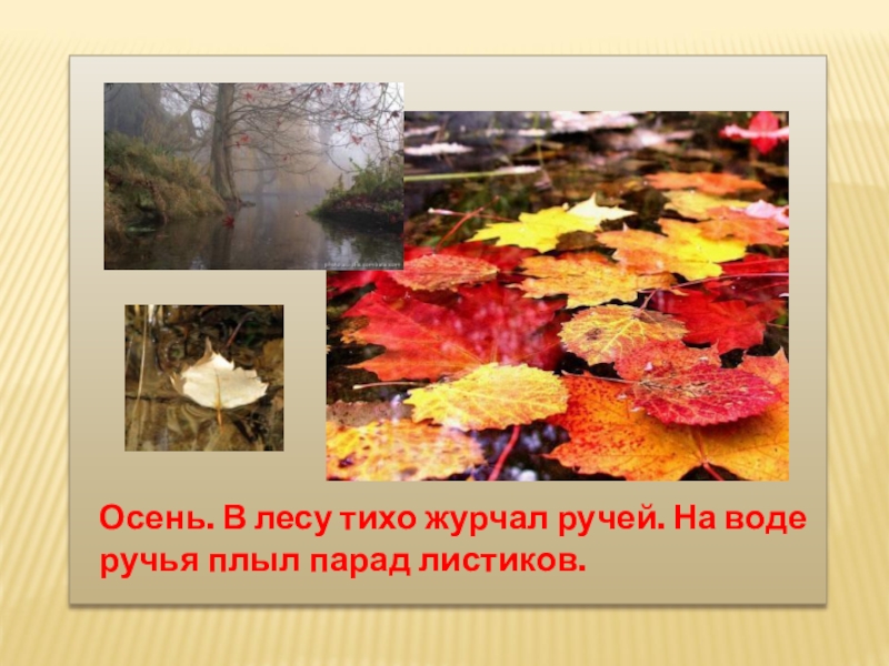 тихо журчит ручей. изложение путешественница королёк. ручей тункинский район. текст изложения путешественница для 3 класса школа россии. лесной ручей.