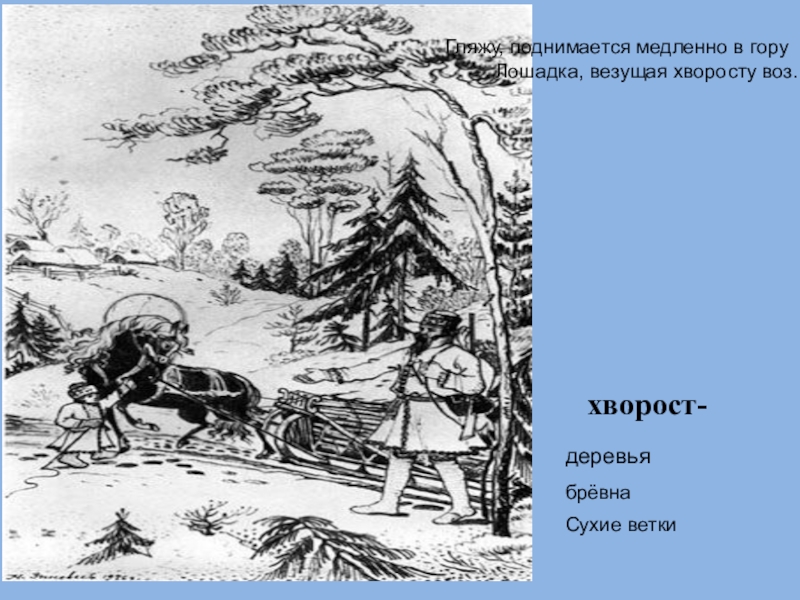 Медленно в гору. Некрасов хворосту воз. Гляжу поднимается медленно в гору лошадка. Гляжу поднимается медленно в гору лошадка везущая хворосту воз. Медленно в гору лошадка везущая хворосту.