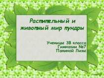 Презентация к уроку окружающий мир Тундра