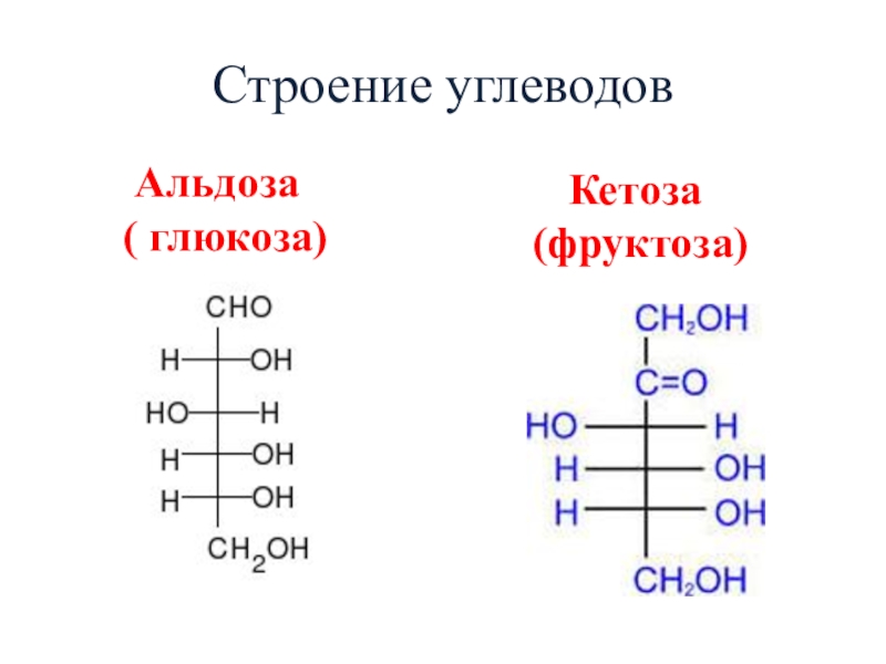 Фруктоза гексоза. Моносахариды кетозы. Классификация углеводов кетозы альдозы. Классификация углеводов альдозы и кетозы пентозы и гексозы. Моносахарид альдоза.