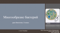 Презентация по биологии на тему Многообразие бактерий (5 класс)