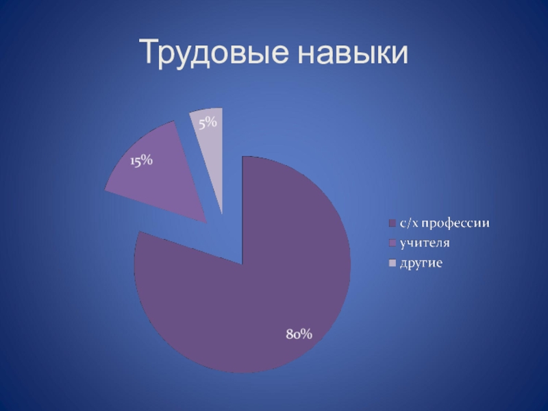 Трудовые навыки. Трудовые умения это. Наличие трудовых навыков. Социально-трудовые навыки это.