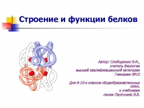 Презентация к уроку Строение и функции белков