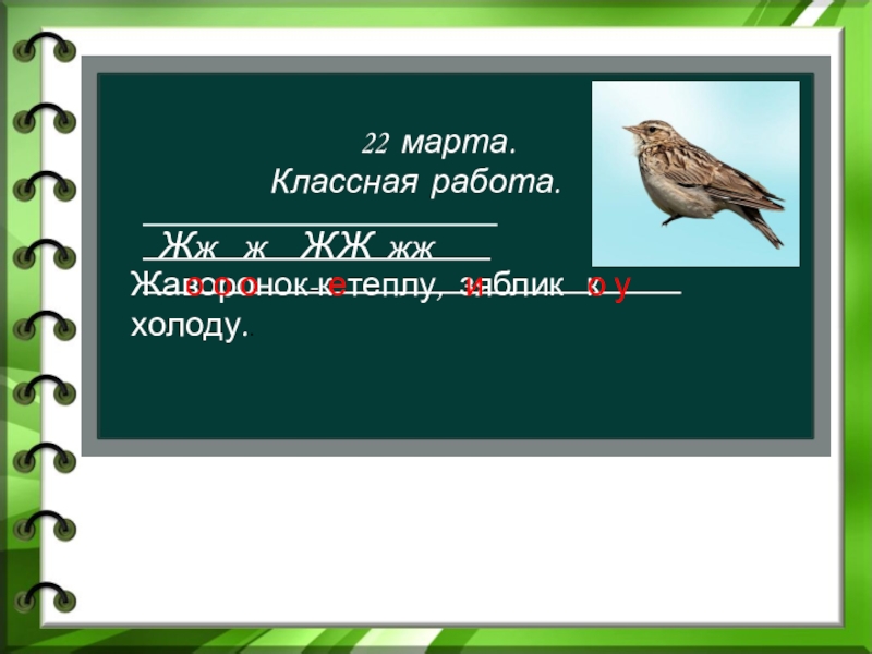 Зяблик разбор по составу. Корень в слове Зяблик. Жаворонок корень. Жаворонков корень слова. Жаворонок корень слова.