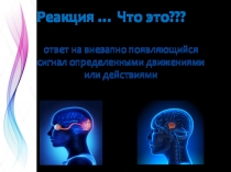 Развитие быстроты двигательной реакции