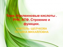 Биология 10 класс. Тема.Нуклеиновые кислоты РНК, АТФ. Строение и функции