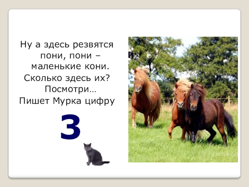 Конь сколько букв. Коня звали верный. Как зовут лошадь. Ну а здесь резвятся кони кони маленькие пони. Цифра 3 пони.