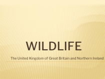 Презентация по английскому языку Флора и фауна Великобритании