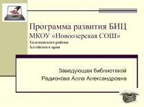 Презентация Программа развития БИЦ
