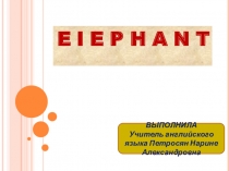 Презентация по английскому языку Слоны