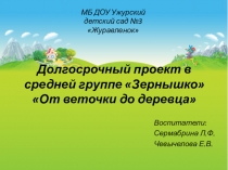 Презентация. Долгосрочный проект по растительности.