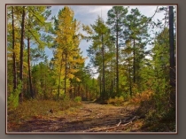 Презентация к окружающему миру На что похожа наша планета?