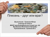 Исследовательская работа на тему: Плесень друг или враг?