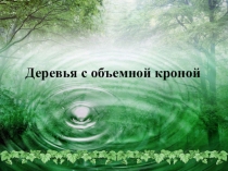 Деревья с обьемной кроной