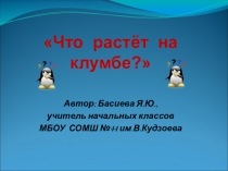 Презентация по окружающему миру на тему  Что растет на клумбе?.