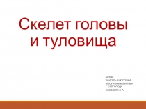Скелет головы и туловища