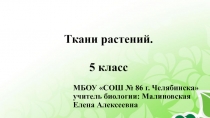 Презентация по биологии на тему Ткани растений (5 класс)