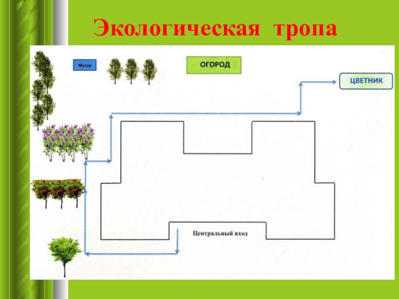 Схема экологической тропы в детском саду