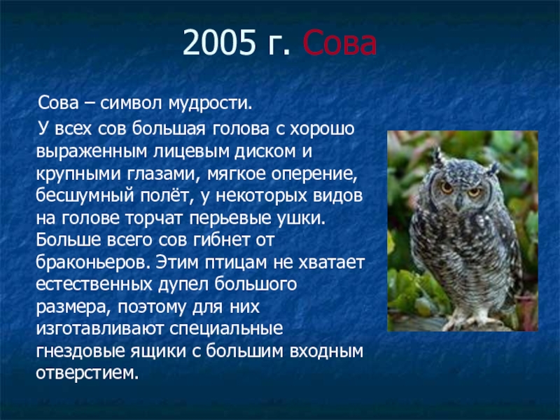 Текст про сову. Сова символ мудрости. Сова символизирует. Сова символ чего. Описание Совы.