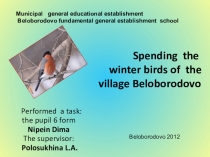 Зимующие птицы д.Белобородово на английском языке (6 класс)