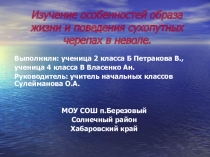 Исследовательская работа Изучение особенностей поведения сухопутных черепах в неволе