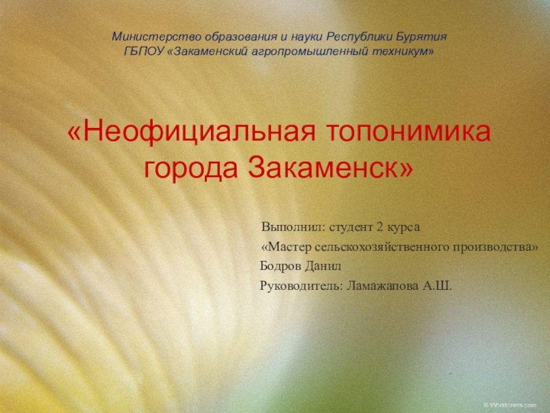 Презентация Презентация Неофициальная топонимика города Закаменск