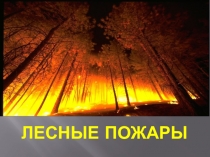 Презентация по экологическому воспитанию Лесные пожары