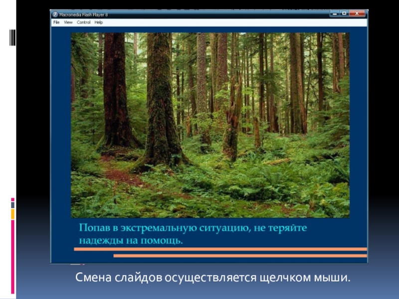 Презентации в которых происходит последовательная смена слайдов от титульного до последнего