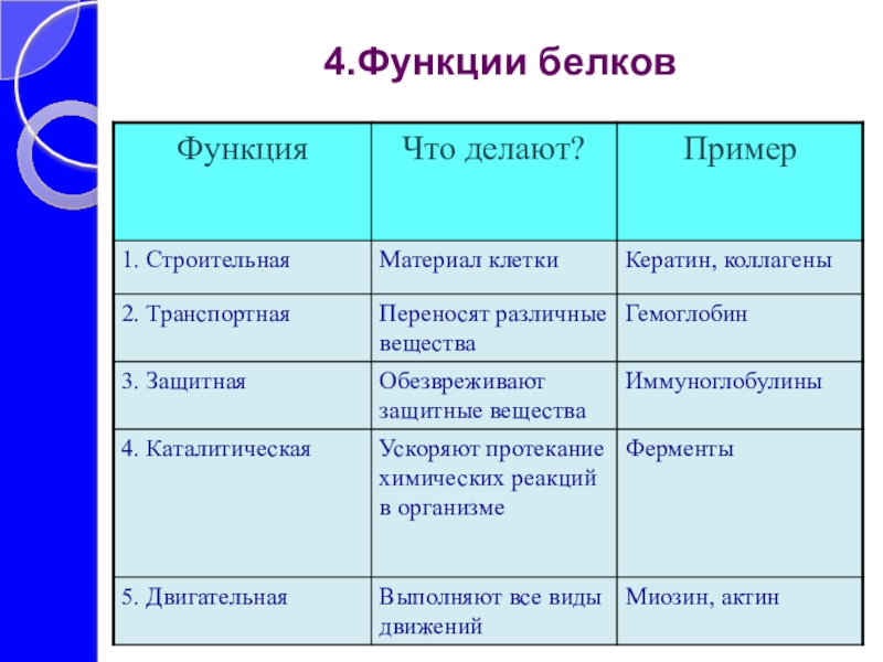 Схематическая диаграмма о биологической роли белков