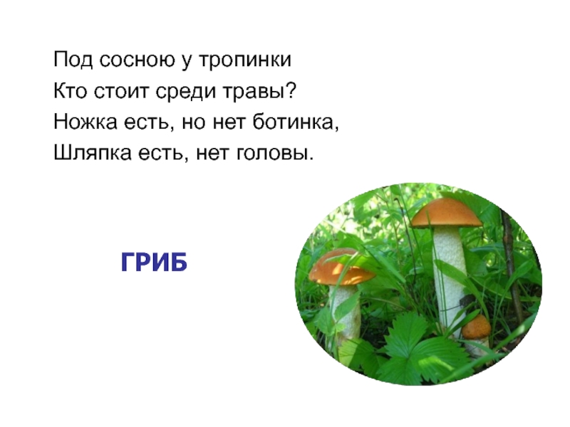 Презентация Презентация по окружающему миру на тему С лукошком за грибами (урок 1)