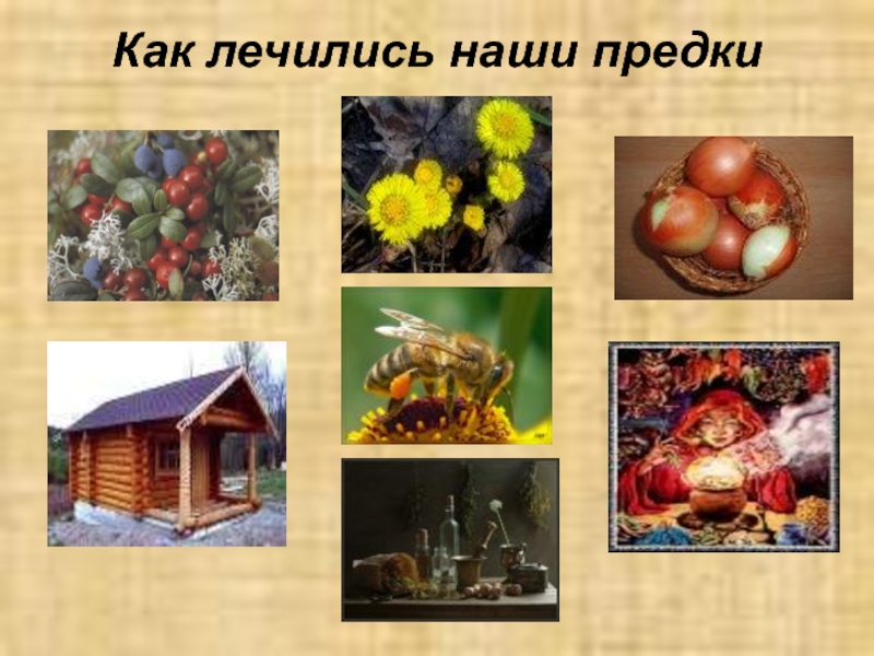 Как наши предки осваивали природу 3 класс умк гармония презентация