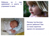 Презентация по биологии на тему Биосинтез белка (10 класс)