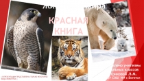 Презентация по окружающему миру на тему Животный мир. Красная книга