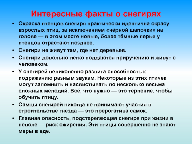 Черен интересные факты. Интересные факты о Снегирях. Свмы еинересные факты о Снегирях. Снегирь интересные факты для детей. Факты о Снегирях для детей.