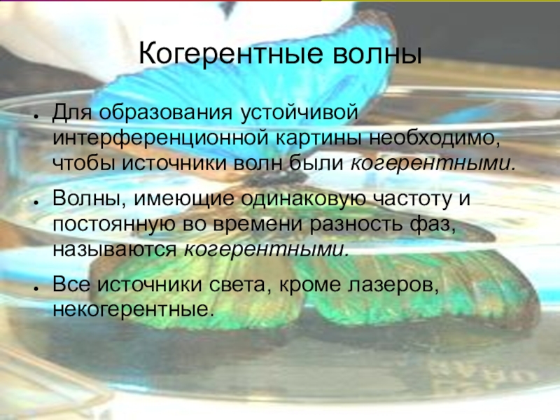 Когерентные волны. Когерентные волны определение. Когерентные световые волны. Для образования устойчивой интерференционной картины.