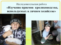 Презентация по теме Основы кролиководства