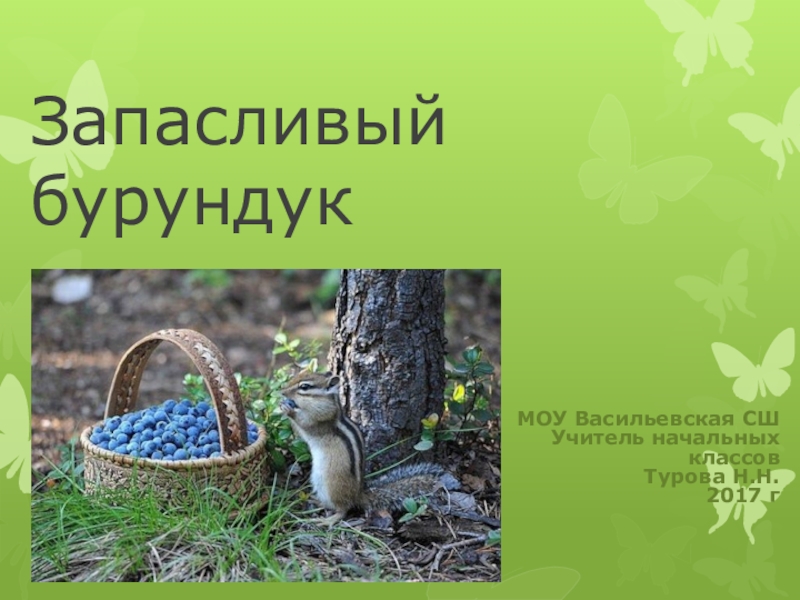 смешные фото животных. злой злостный паронимы. смешные животные картинки. вырубка для фетра. запасливый хомяк.