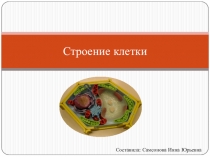 Презентация по биологии Строение клетки