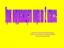 Презентация по окружающему миру на темуДикие и домашние животные