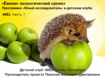 Ёжики экологический проект Программа Юный исследователь в детском клубе MEL