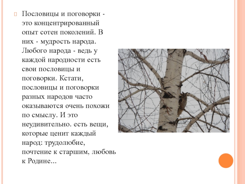 Народная мудрость учит нас что это приносит одну радость но сто видов горя что это