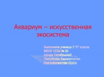 Презентация по окружающему миру