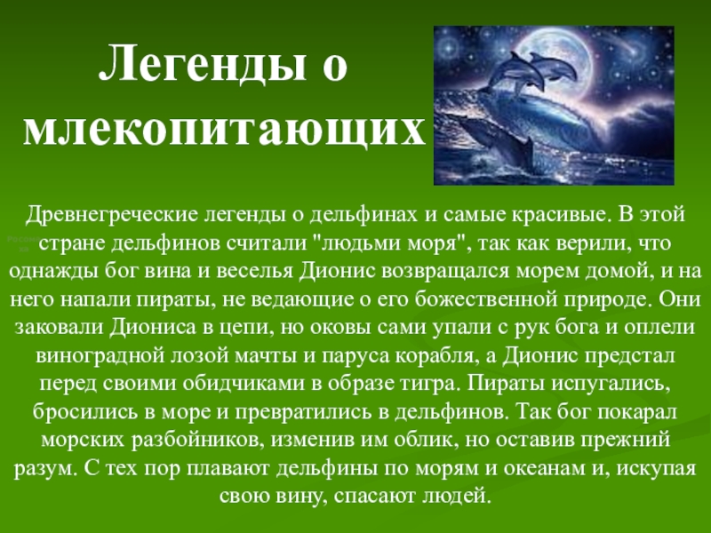 Интересные легенды. Легенды о животных. Легенды и мифы о животных. Интересные и короткие легенды. Легенды для детей короткие.