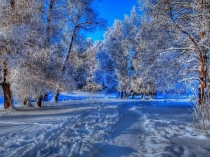 Презентация к уроку Написання складних прикметників