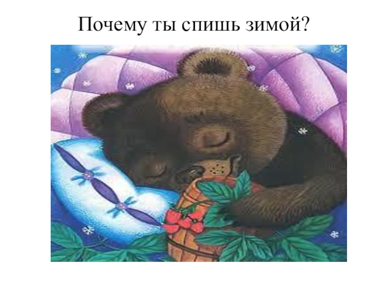 Почему медведь мишка