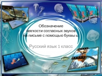 Презентация Обозначение мягкости согласных звуков на письме с помощью буквы ь