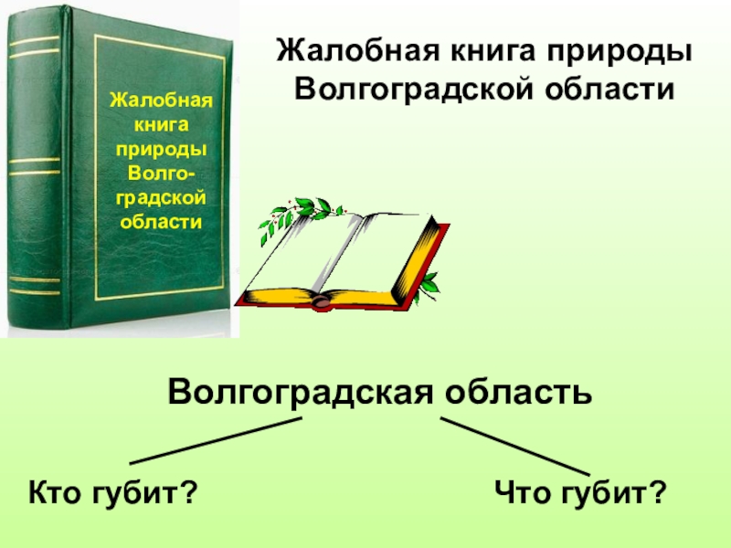 Жалобная книга рисунок