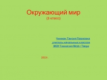 Презентация по окружающему миру Смешанные леса( 3 класс)